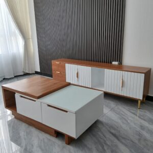 Coffee table and Tv Stand Set